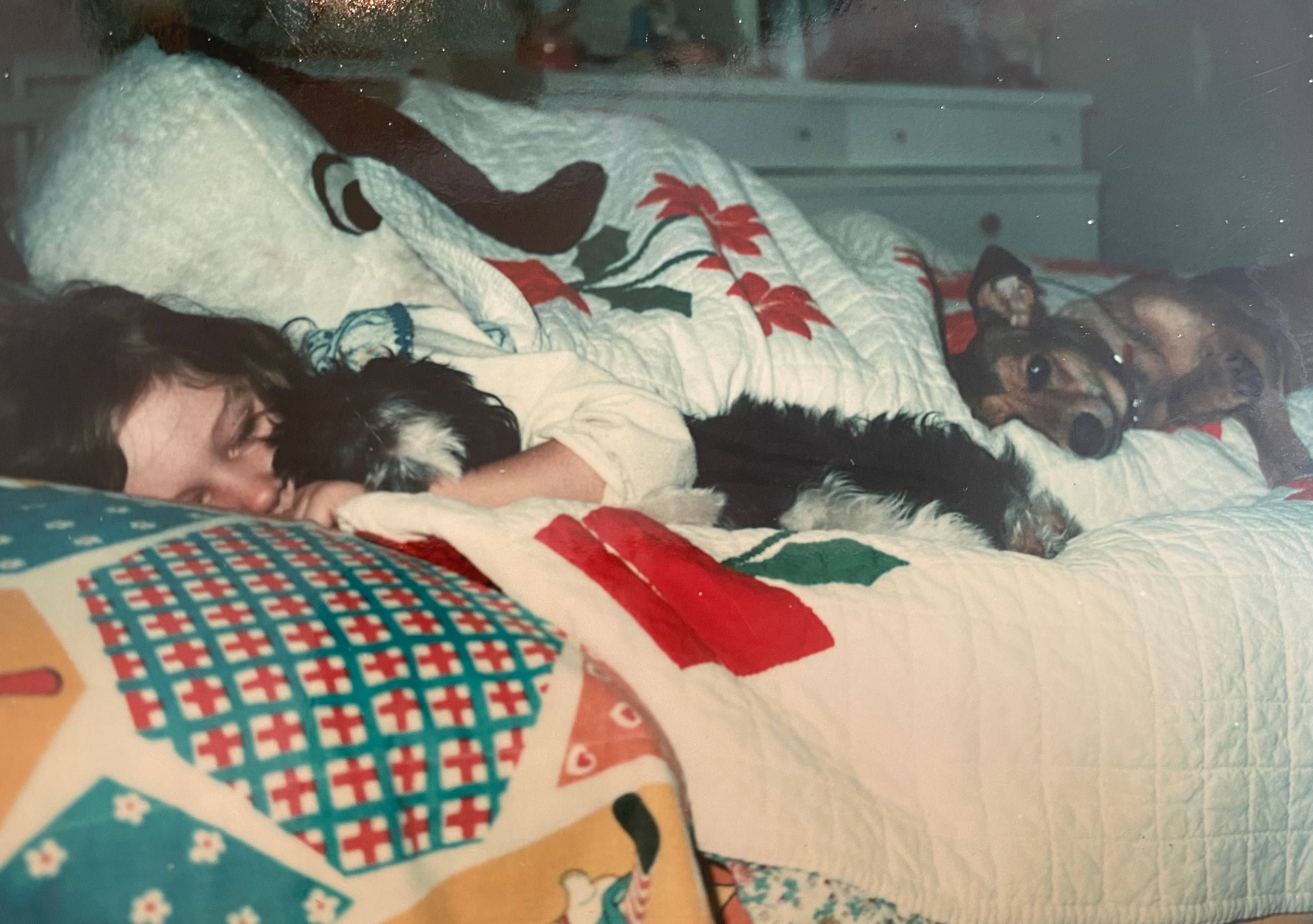 Rescue dog photo shared by Heather Parry Foundation
