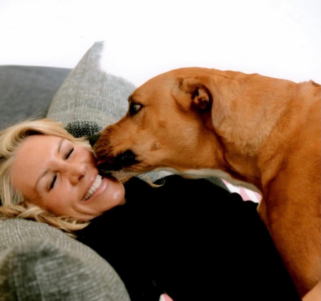 Rescue dog photo shared by Heather Parry Foundation