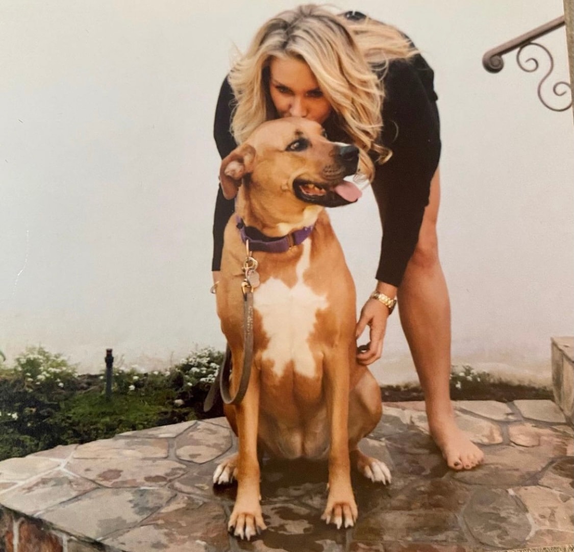 Rescue dog photo shared by Heather Parry Foundation